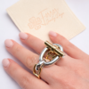 FDJ-007_5 Aureo ring
